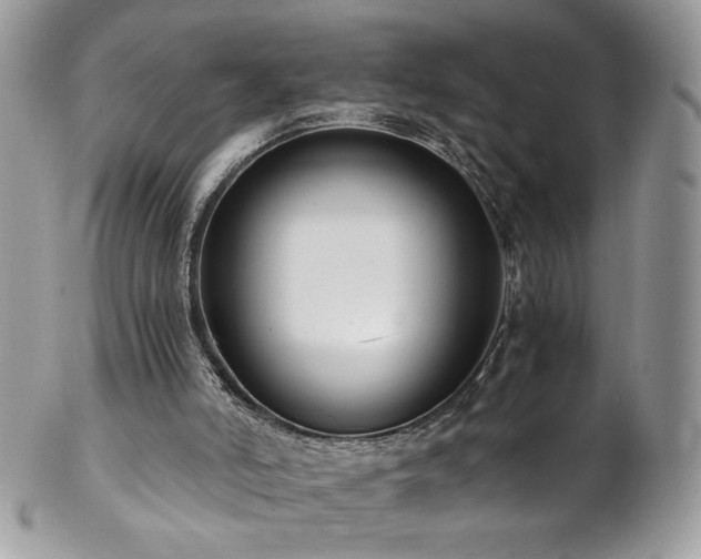 X0000102820006200808181256