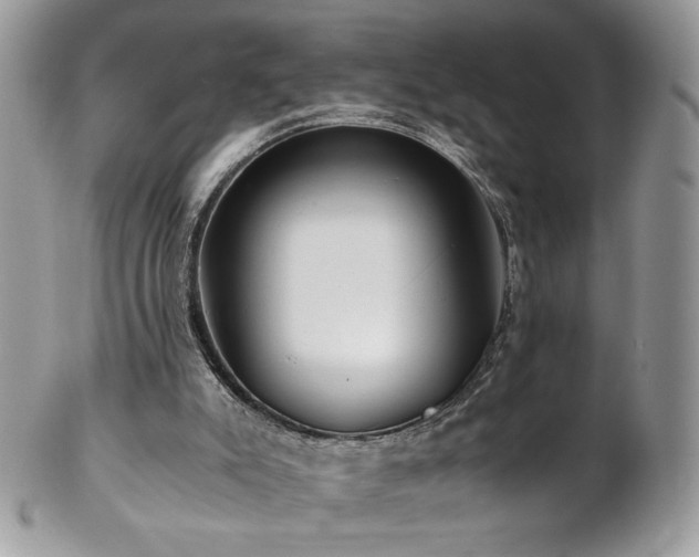 X0000102820007200808181256