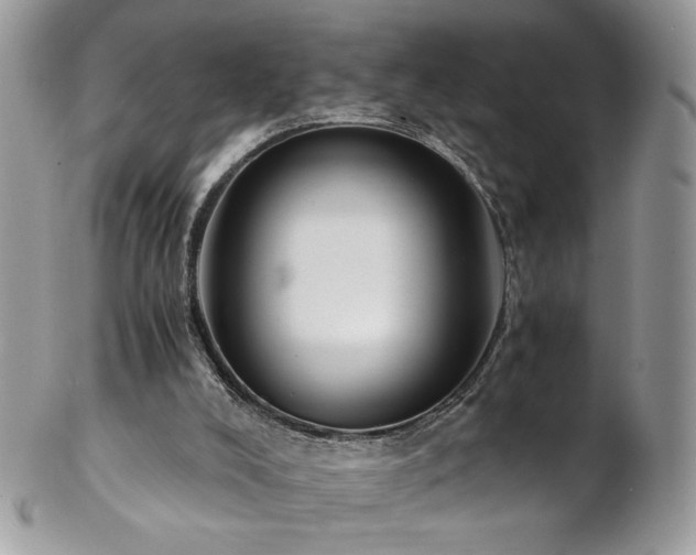 X0000102820008200808181256