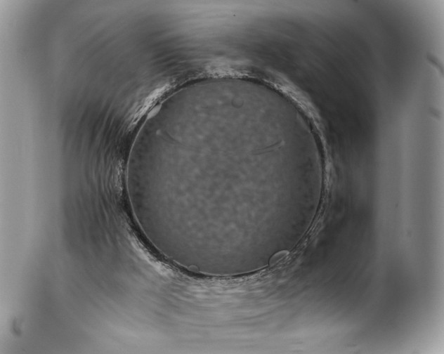 X0000102820009200808181256