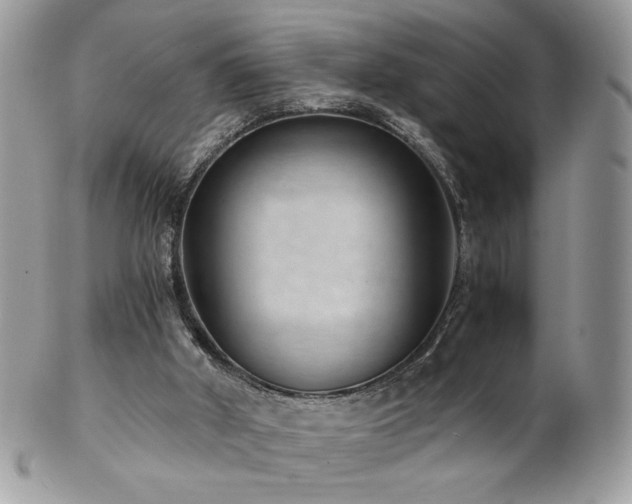 X0000102820010200808181256