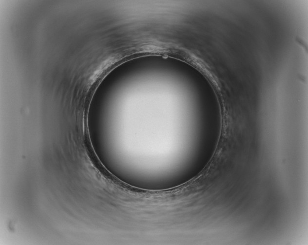 X0000102820011200808181256