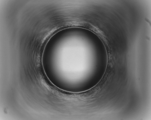 X0000102820012200808181256