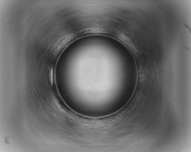 X0000102820014200808181256