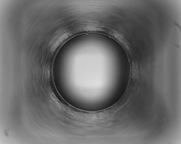 X0000102820015200808181256