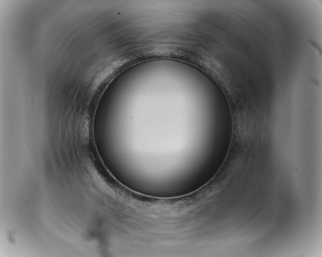 X0000102820016200808181256