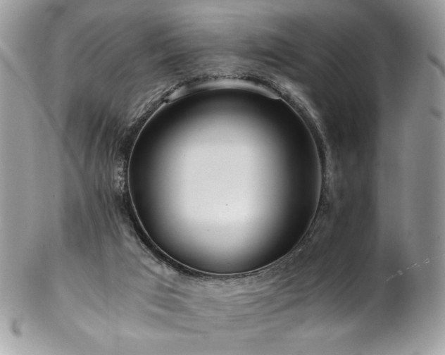 X0000102820017200808181256