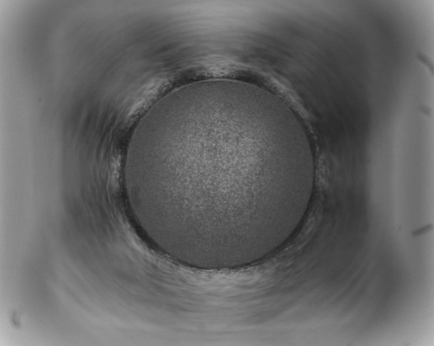 X0000102820018200808181256