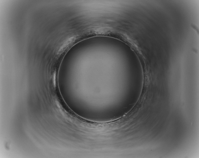 X0000102820019200808181256