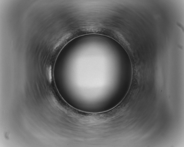 X0000102820020200808181256