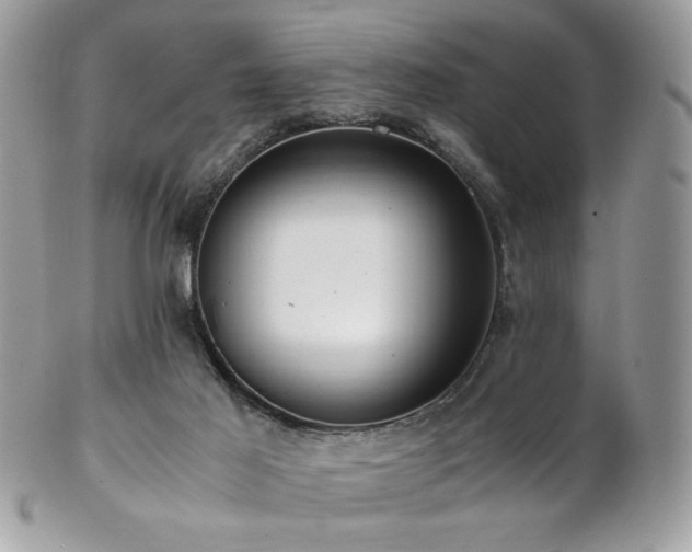 X0000102820021200808181256
