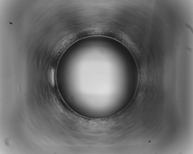 X0000102820022200808181256
