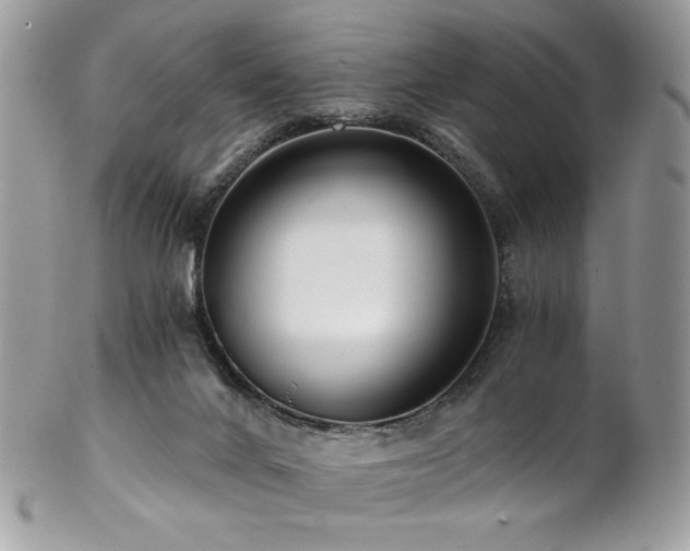 X0000102820024200808181256