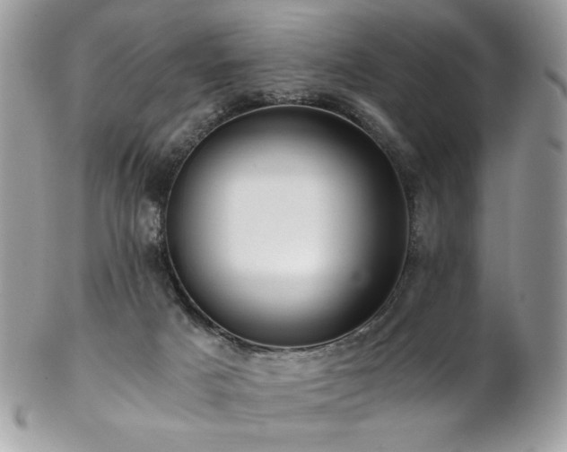 X0000102820025200808181256
