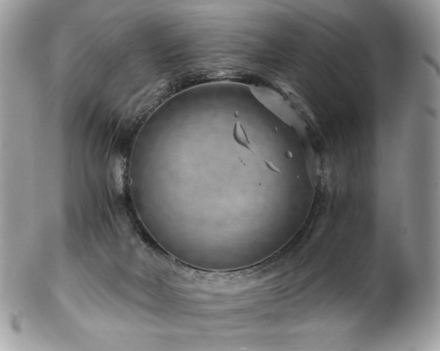 X0000102820026200808181256