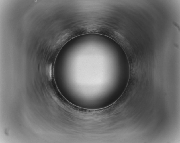X0000102820028200808181256
