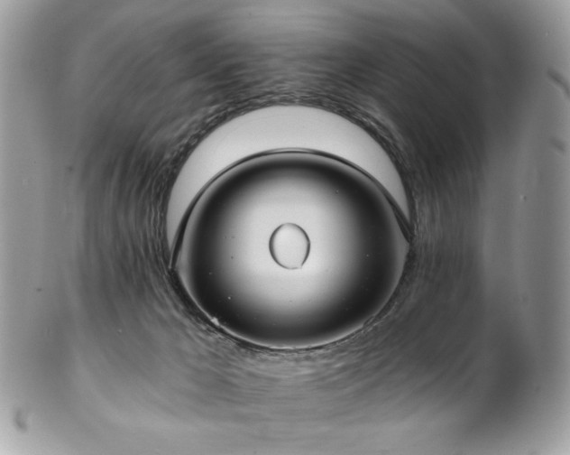 X0000102820029200808181256