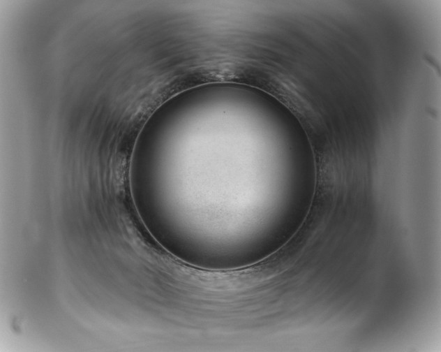 X0000102820030200808181256