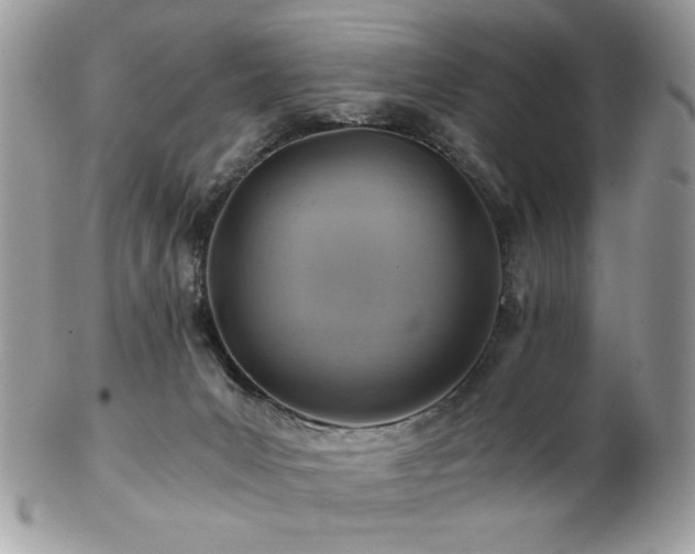X0000102820031200808181256