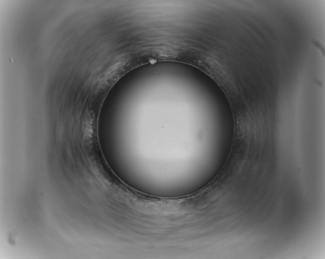 X0000102820032200808181256