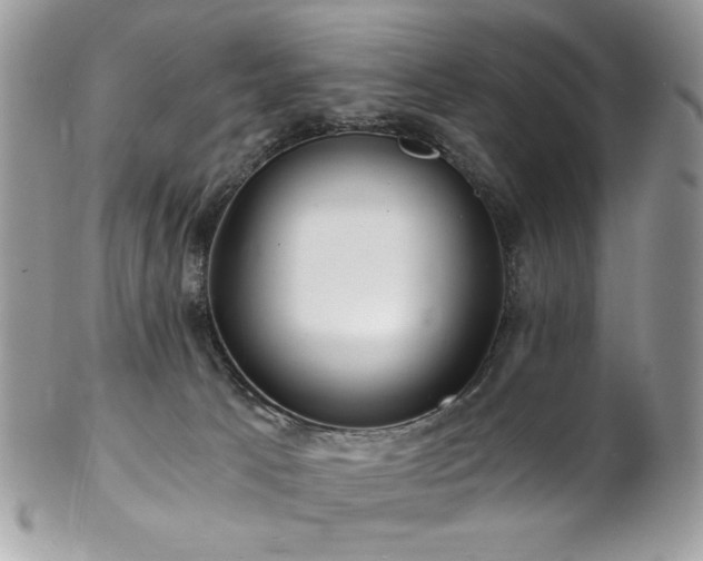X0000102820033200808181256