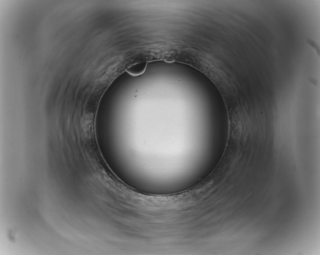 X0000102820034200808181256