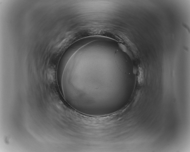 X0000102820035200808181256