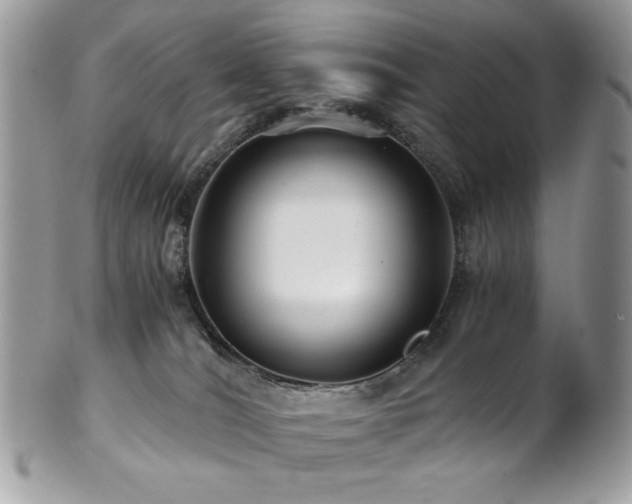 X0000102820036200808181256