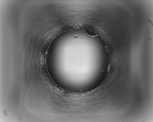 X0000102820037200808181256