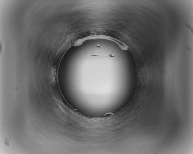 X0000102820038200808181256