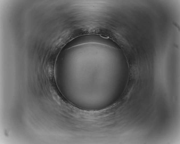 X0000102820039200808181256