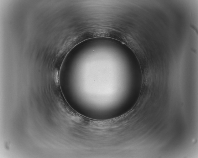X0000102820041200808181256