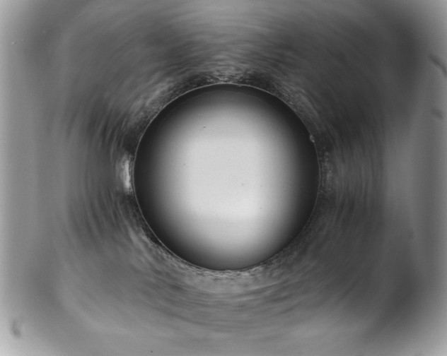 X0000102820042200808181256