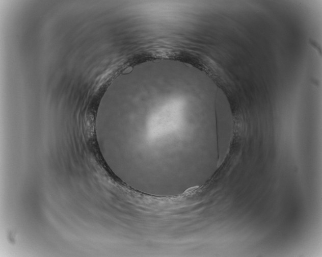 X0000102820043200808181256