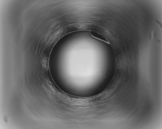 X0000102820044200808181256