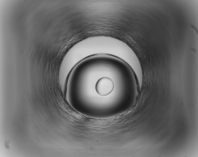 X0000102820045200808181255