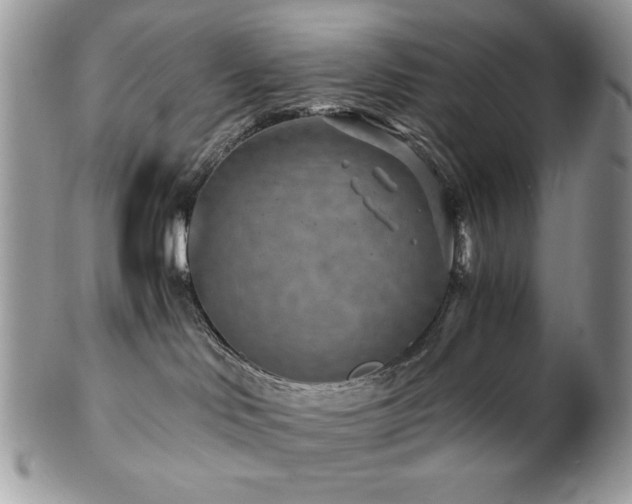 X0000102820046200808181255