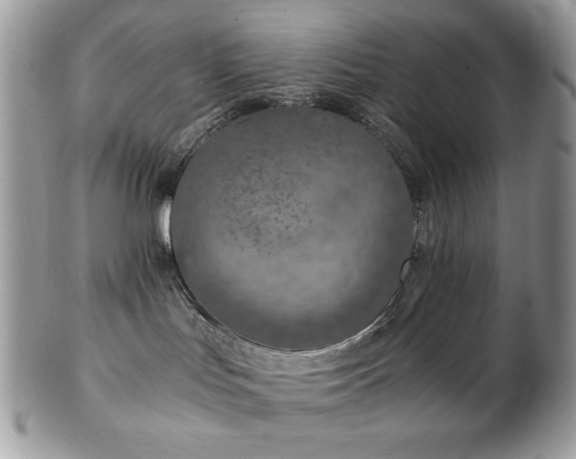 X0000102820047200808181255