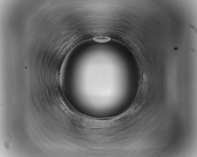 X0000102820048200808181255