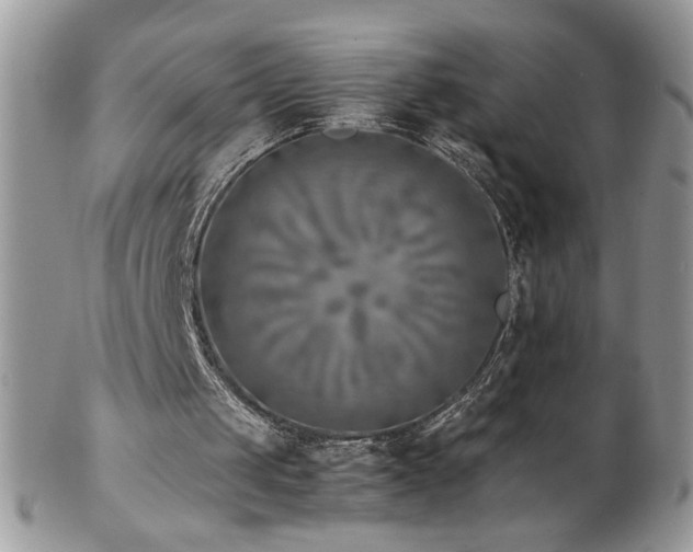 X0000102820049200808181255