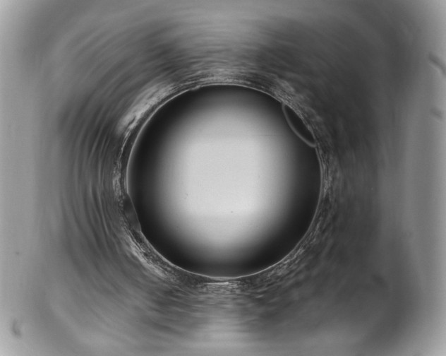 X0000102820050200808181255
