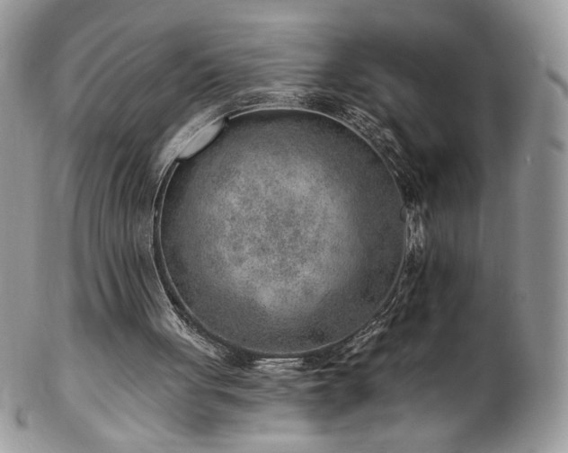 X0000102820051200808181255