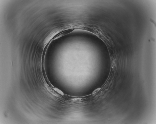 X0000102820052200808181255