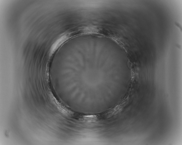 X0000102820053200808181255