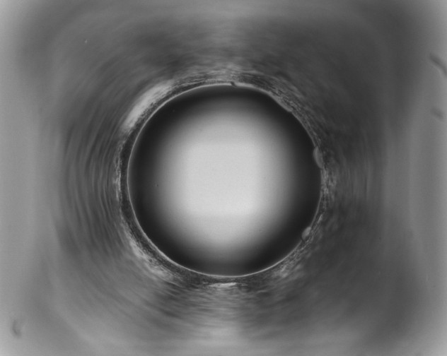 X0000102820054200808181255