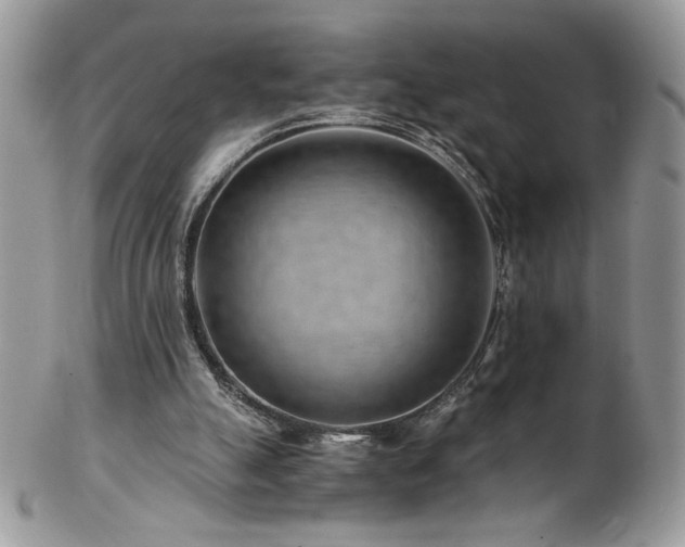 X0000102820055200808181255