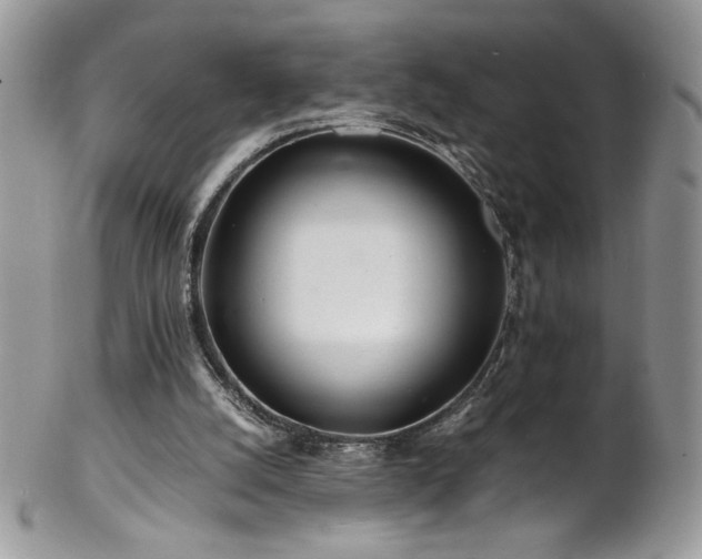 X0000102820056200808181255