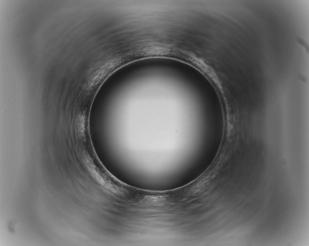 X0000102820057200808181255