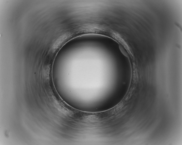 X0000102820058200808181255