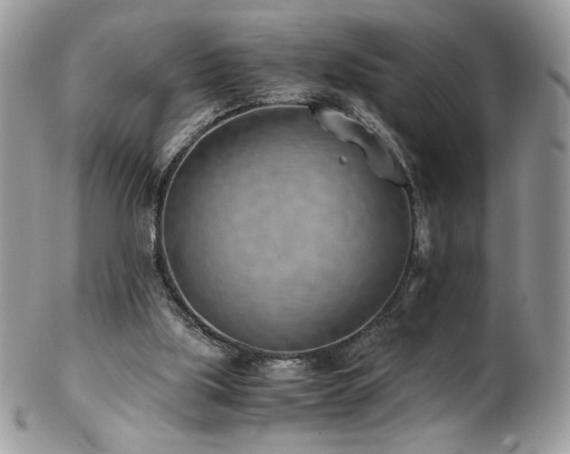 X0000102820059200808181255